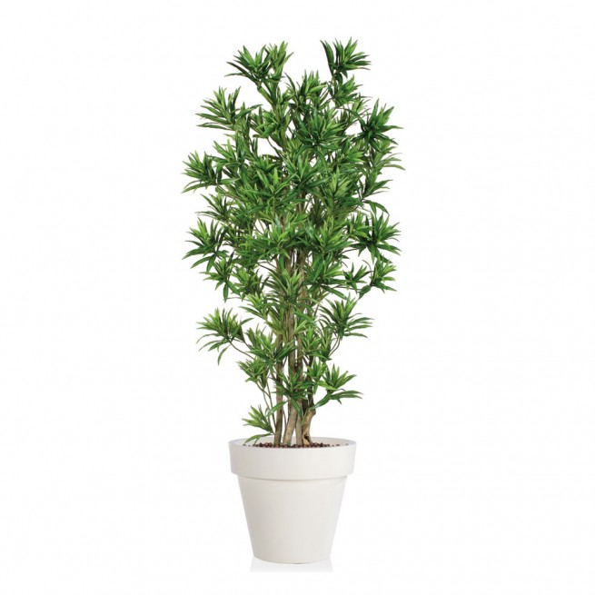 Planta semi-artificiala Ila, Dracaena Reflexa Boschetto Green - 180 cm